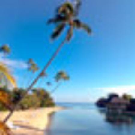 Caffe' Brasilia dal 1961